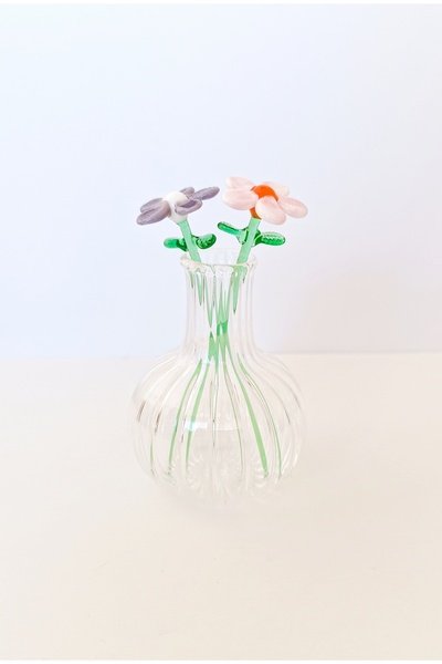 ADAMODART Minyatür 2'li Cam Papatya Mini Vazo Set - Pembe ve Mor