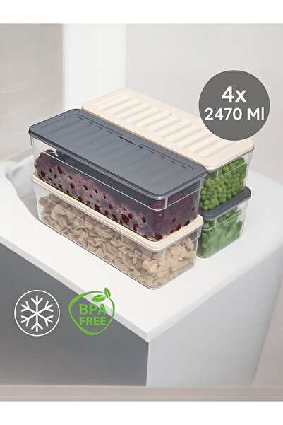 Nesto Home Set of 4 Colorful 2470 ml Deep Refrigerator - Organizer Freezer and Microwave Storage Set