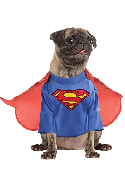 Hype Store Co DC Heroes and Villains Koleksiyonu Evcil Hayn Kostümü Küçük Süpermen