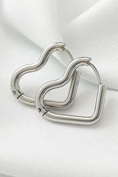 Leo'Stone Premium Series Heart Shaped Ring Design Tarnish Free Women's Steel Earrings