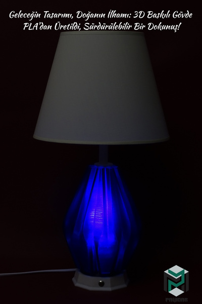 PAYİDAR MODEL Payidar Modern Design White Hat Lampshade White Body