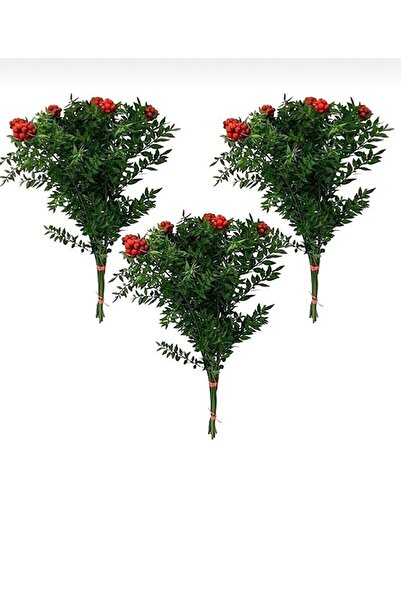 Genel Markalar Kokina - Yılbaşı Çiçeği ( 3 Demet )