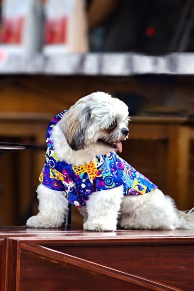 Hype Store Verlina Marjinal Köpek Montu - Rahat Köpek Kıyafeti mor S