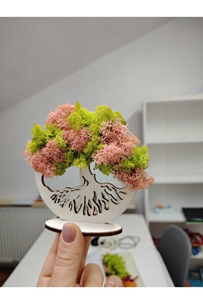 Doua fire mov Decorațiune Copacul Vieții cu licheni stabilizați, culori mixte, două tulpini mov, 10 cm, stâlp