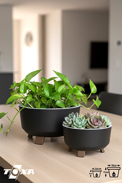 ToXA 2li Orbita Saksı Seti Süzgeçli Ayaklı Delikli Plastik Aranjman Sukulent ...