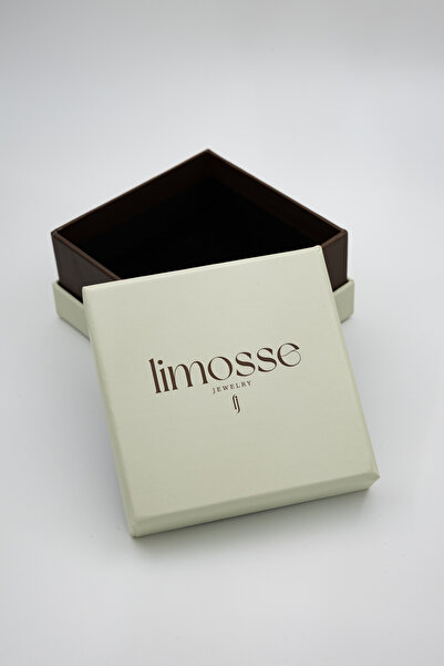 Limosse Jewelry Aurela Çift Halka Çelik Küpe