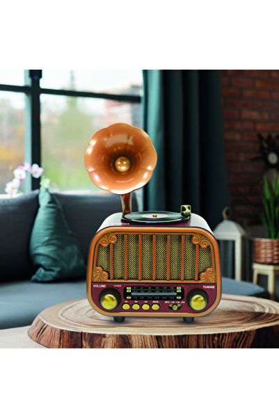 Torima D76 Dark Wood Wireless Speaker