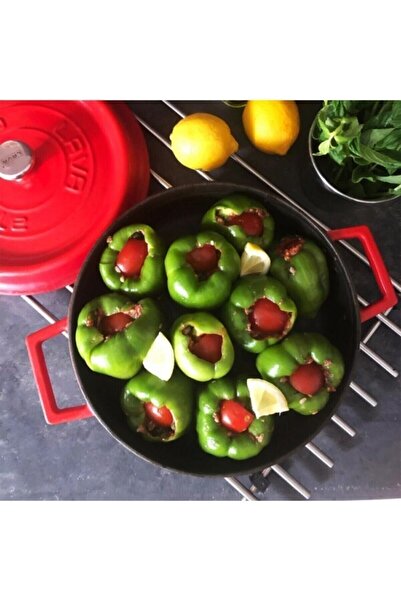 Lava Cast Iron Multi-Purpose Flat Pot. Diameter(ø)28 - Red