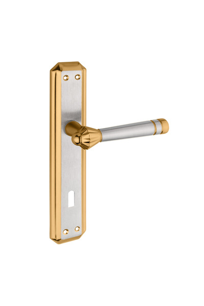 zerafev Lüks Yalı Koleksiyonu Gizem Aynalı Alüminyum Kapı Kolu (Kapı Kulbu) (Oda Tipi) Altın - SATEN