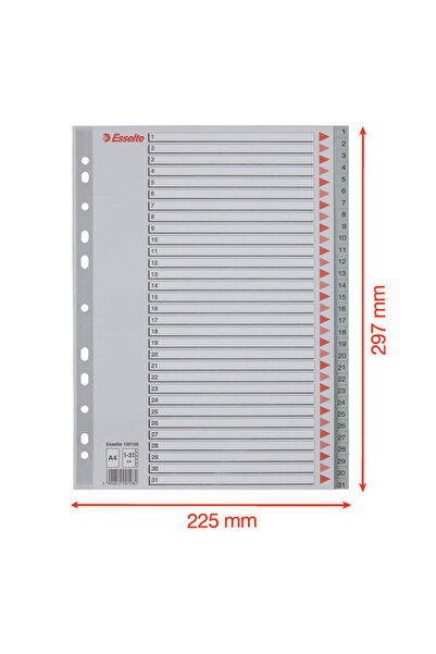 Esselte Plastic index A4 index 1-31