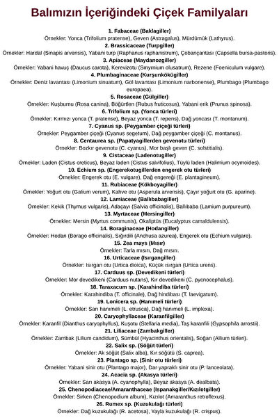 saracoğulları SAFKOVAN 850g Yeni Sezon Yüksek Rakım Şekersiz Poliflora Çiçek Balı 770 Prolin