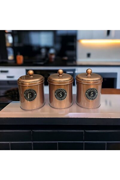 RİVO HOME DECOR وعاء للشاي والسكر والقهوة، حاوية تخزين مجلفنة، علبة توابل مجل...