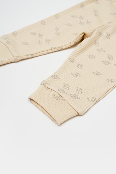 BabyCosy 3-piece set: blouse, pants and hat Printed, BabyCosy, 50% modal+50% cotton, Stone, 3-6 Months