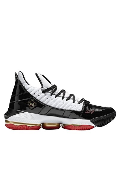 Nike Lebron Xvi SB