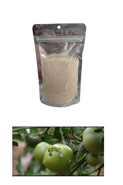 bordox Domates Biber ve Meyve Ağaçları İçin Yeşilkurt Öldürcü Granül 80GR