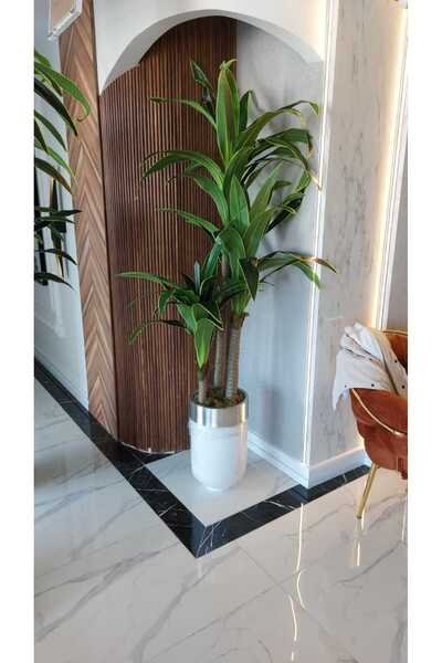 İremÇiçekçilik Beyaz Gümüş Darbuka saksıda 3 Gövdeli Yuka - 210 cm