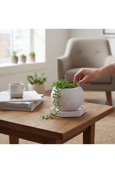 Isoray Design El Yapımı Taş Tozu Yumurta Formlu Tabaklı Sukulent Saksı – 6,5x5,5 cm