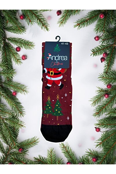 ANDREA Erkek Tekli Yılbaşı Çorapları
