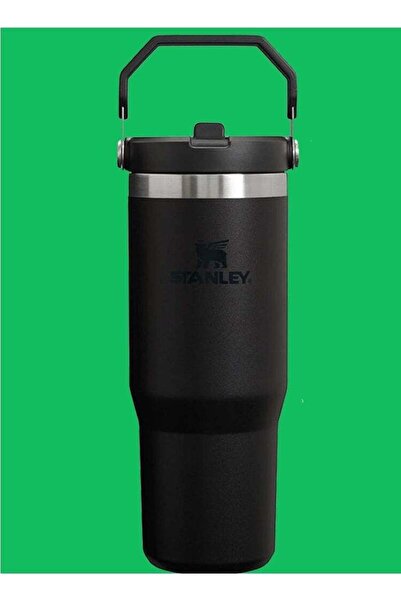 Generic Stanley IceFlow Stainless Steel Tumbler 30oz â€“ Leak-Resistant, Vacu...