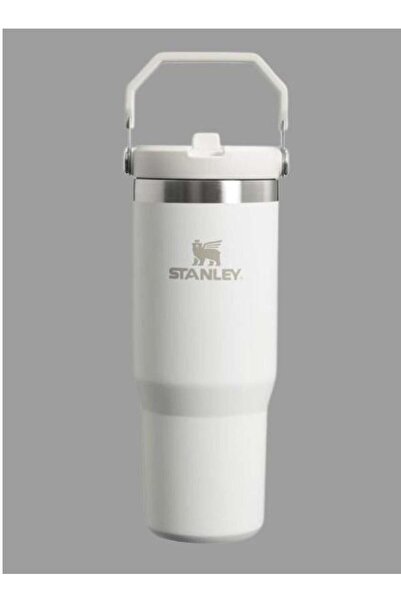 Generic Stanley IceFlow 30 oz Stainless Steel Tumbler with Leak-Resistant Flip Straw - Vacuum Insulated Wat