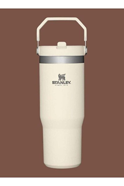 Generic Stanley STANLEY IceFlow Stainless Steel Tumbler with Straw - Vacuum Insulated Water Bottle for Home
