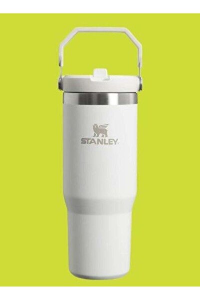 Generic Stanley IceFlow Flip Straw Water Bottle 0.88L â€šÃ„Ã¬ Keeps Drinks Cold for 12+ Hours â€šÃ„Ã¬ Leakp