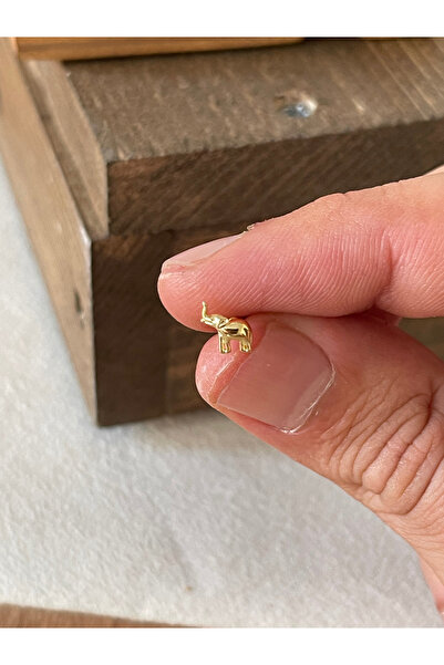 Rupen Kraft 925 Ayar Gümüş Fil Tragus Kıkırdak Helix Piercingi Gümüş Piercing