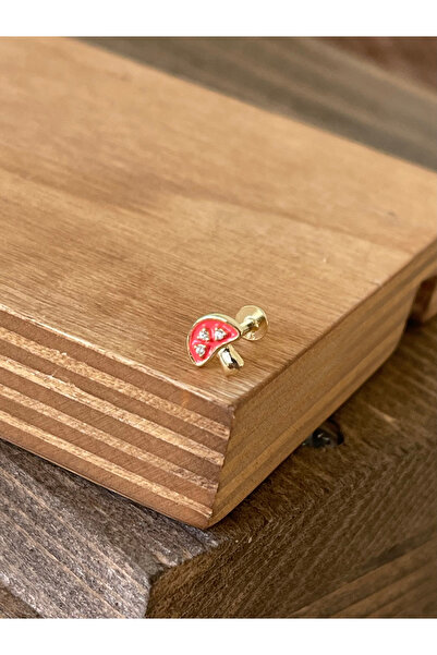 zadenza gold 925 Ayar Gümüş Mineli Taşlı Dudak Helix Tragus Kıkırdak Piercing...