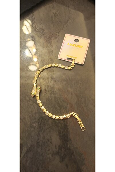 LUXURY Steel bracelet