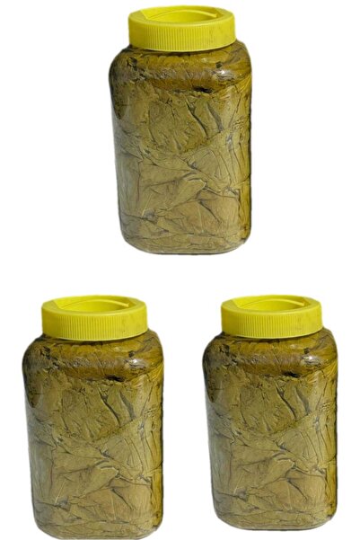bagisan Salamura asma bağ yaprağı ince 3'lük bidon 1 adet net 2 kg