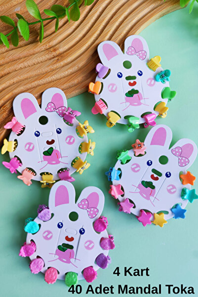 Nisankids 40 Pieces of Colorful Mixed Figure Mini Pegs for Girls (4 Cards)