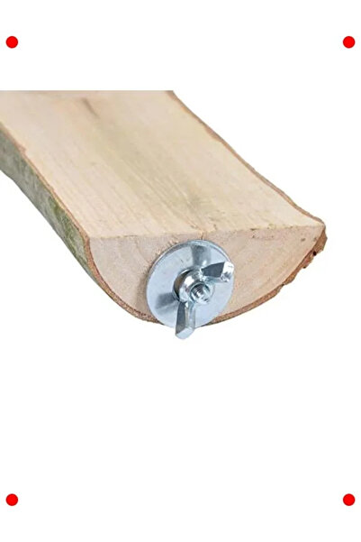 NETWORK ART Natural Wood Bird Perch and Manger