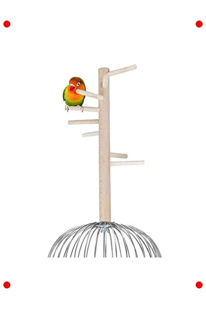 NETWORK ART Rotating Bird Ladder Perch with Tree Sticks 30 cm