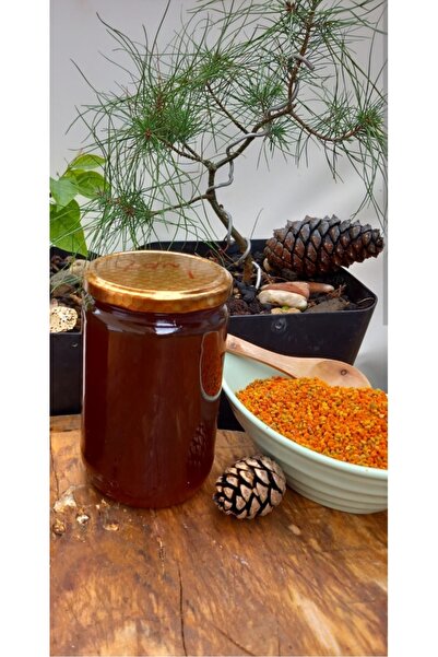 DOĞALINDAN DALINDAN %100 DOĞAL ÇAM BALI 1000 Gr.