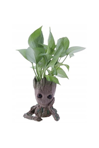 zola Γλάστρα, θήκη για κούμπωμα, I am Groot, πλαστική, 13,5 εκ.