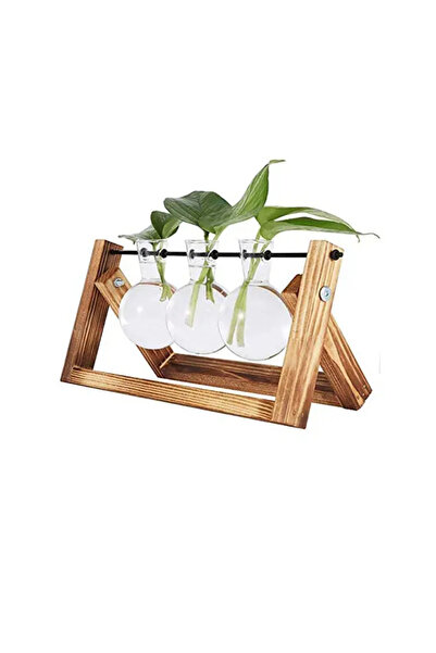 zola Accesoriu decorativ, vază hidroponică cu 3 ghivece de sticlă, suport din lemn, pliabilă, 28x13,5 cm