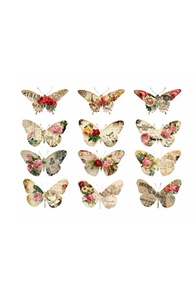 Rich KOLAY TRANSFER BÜYÜK KOYU ZEMİN 6347