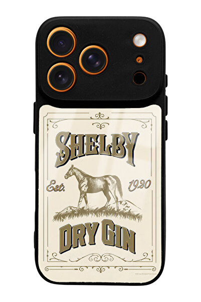 Spoyi iPhone 17 Pro Compatible Peaky Blinders Shelby Dry Gin Design Glossy Phone Case
