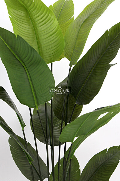 Yapay Çiçek Deposu Yapay Ağaç Starliçe Gerçek Dokunuş 18 Dev Yaprak Yeşil 180 Cm