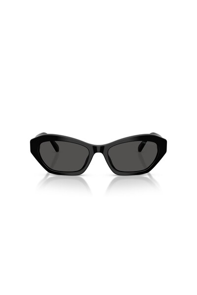 Swarovski Sunglasses Sk6048 54 103887