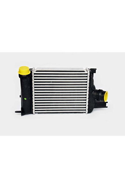 OEM Intercooler Dacia Logan 2/Sandero 2 2012 -> 1.5 DCI Magneti Marelli