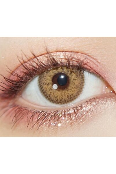 Fresh Lady Foggy Brown Brown colored contact lenses, complete package with solution and case