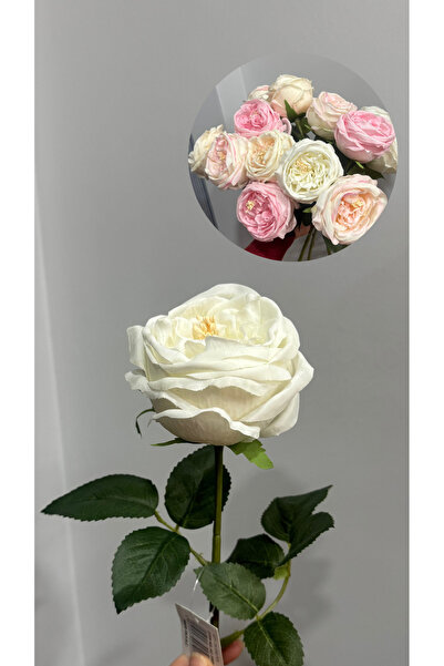 Santara زهرة الفاوانيا البيضاء الاصطناعية المستوردة من الدرجة الأولى (قطعة واحدة)