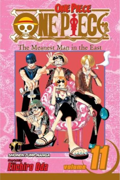 Viz Media One Piece Vol. 11