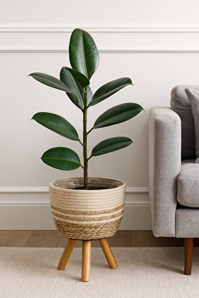 ADA Ahşap oyma ve çerçevecilik Hasır Saksı Ahşap Ayaklı 26cm