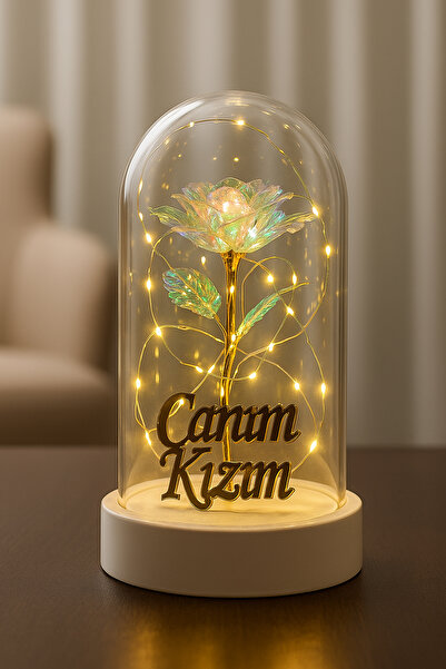 LUZAB Canım Kızım Yazılı Led Işıklı Solmayan Güllü Gece Lambası fanus Dekor Süs