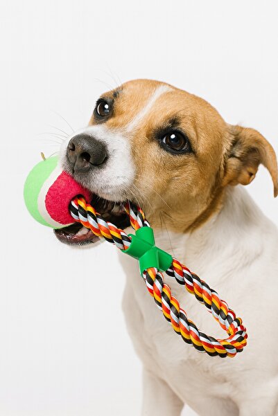 PHENORA كرة لعب للكلاب مع حبل |   لعبة كلب متينة للسحب وكرة اللعب