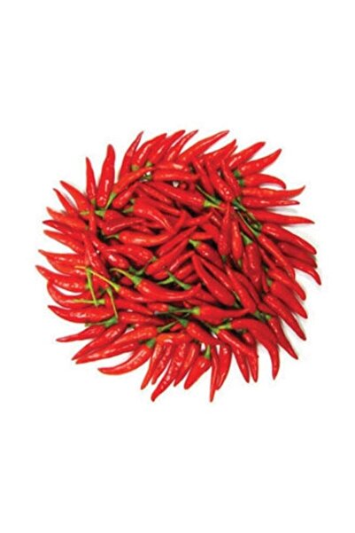 Tohumcumm 250 Adet Tohum Eko Paket Şili Biberi Tohumu Çok Acı Chili Biberi To...