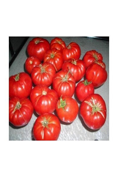 Tohumcumm 200 Adet Tohum Organik Orjinal Ankara Ayaş Domatesi Domates Tohumu ...