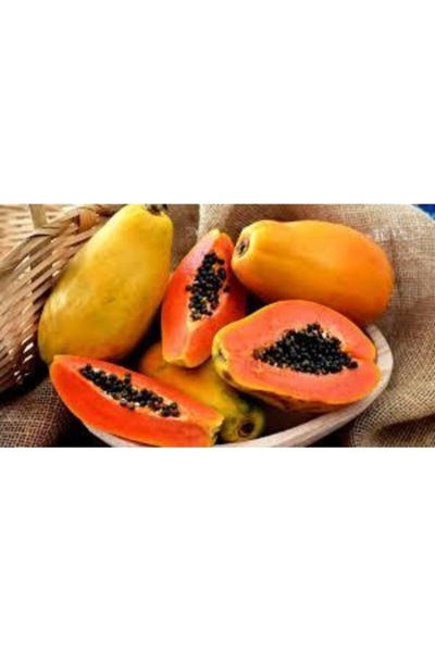 Tohumcumm 20 Adet Tohum Tropikal Papaya Ağaç Tohumu Organik Hasat Meyve Ağacı...